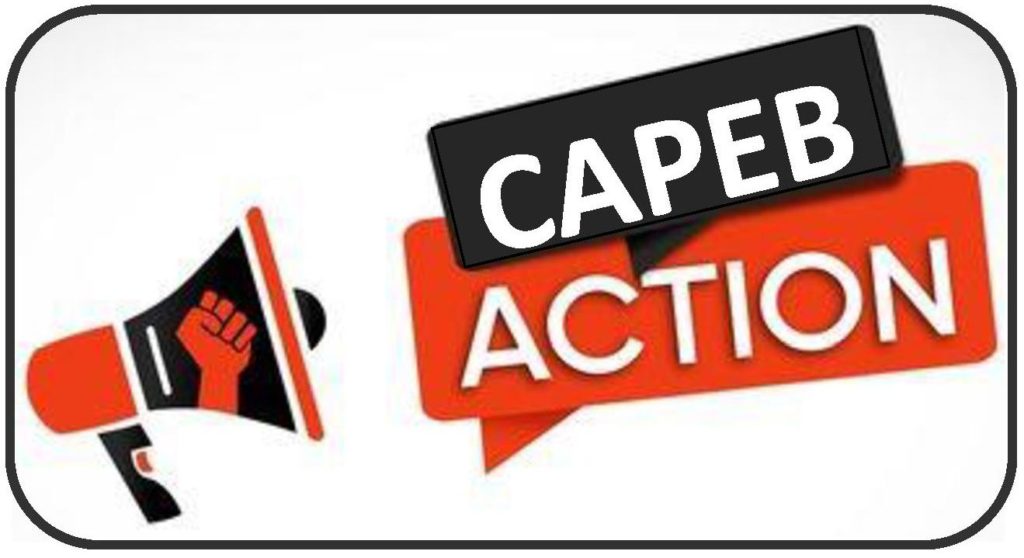 CAPEB ACTION